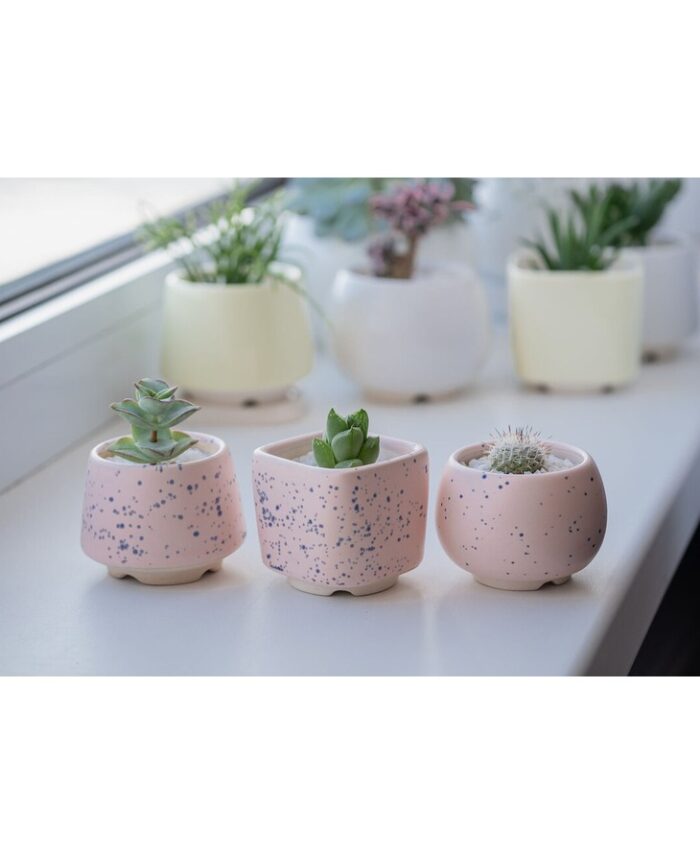 Krafti Pottery UPC (651194311198)